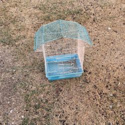 Bird Cage?