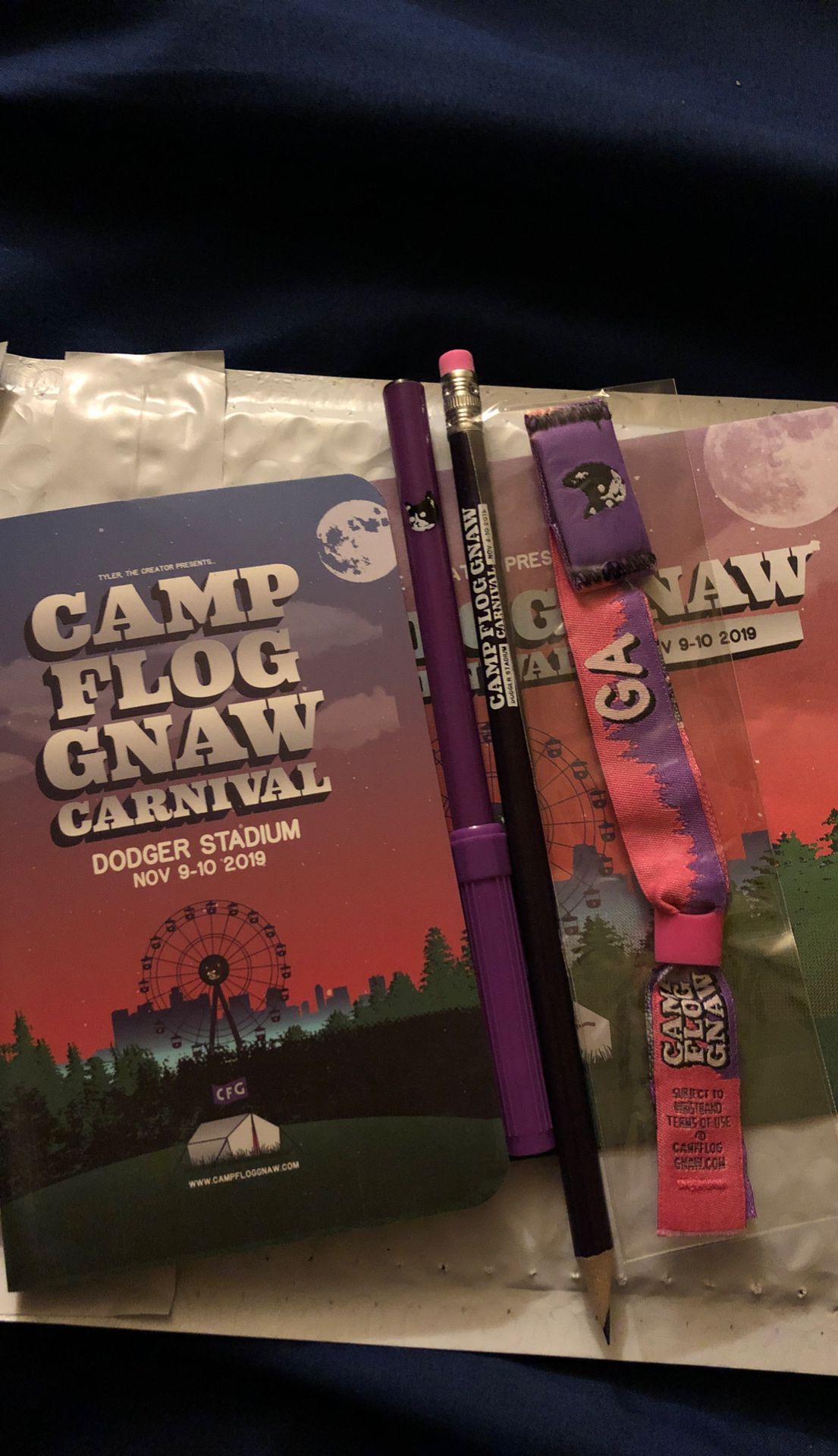 Camp Flog Gnaw 2019.