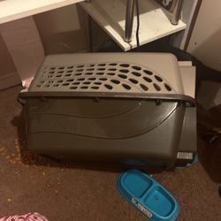Big Cat Carrier Fits 2