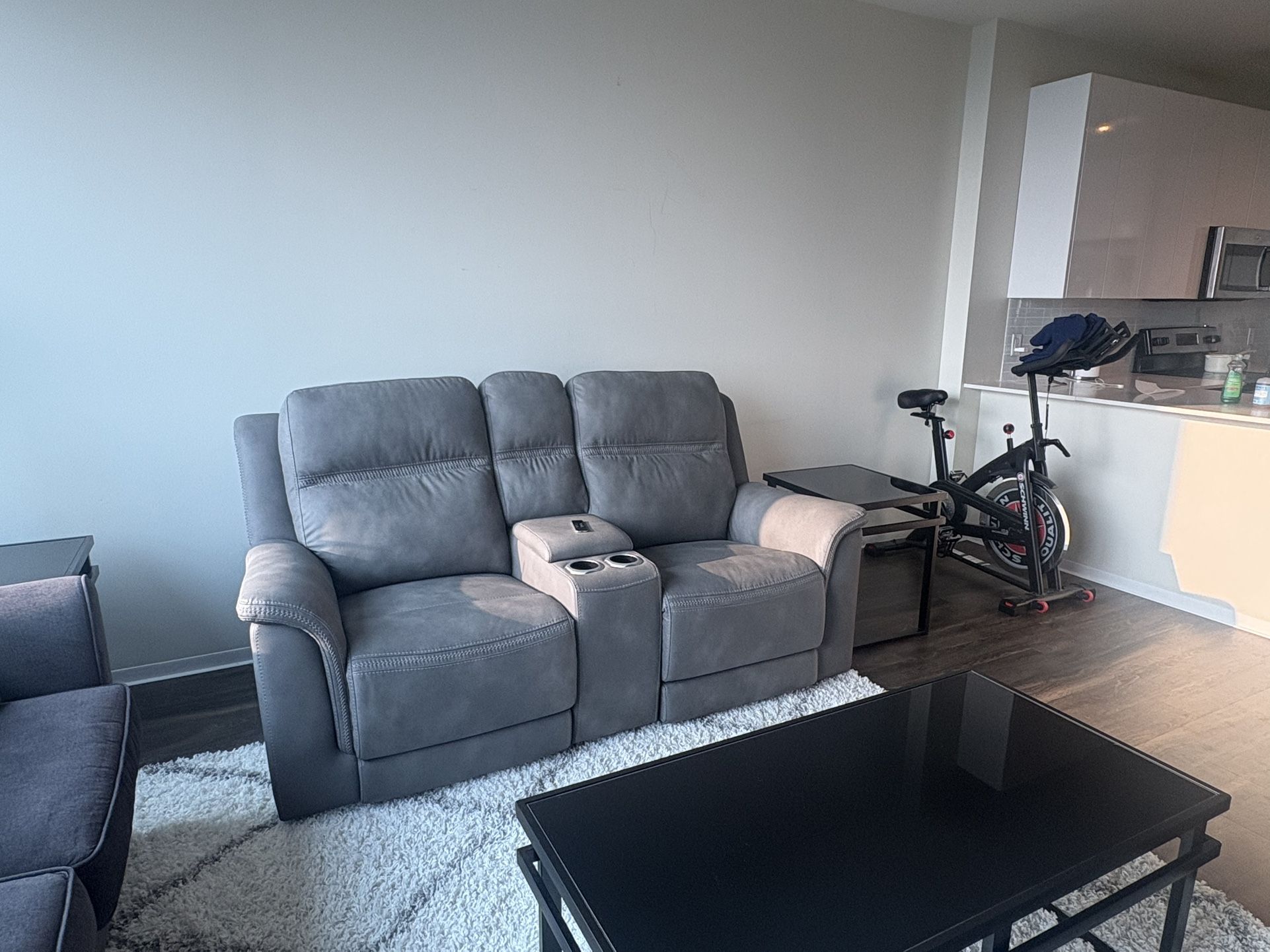Electric Recliner