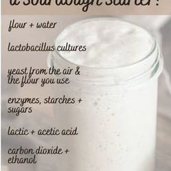 Sourdough Starter 4oz