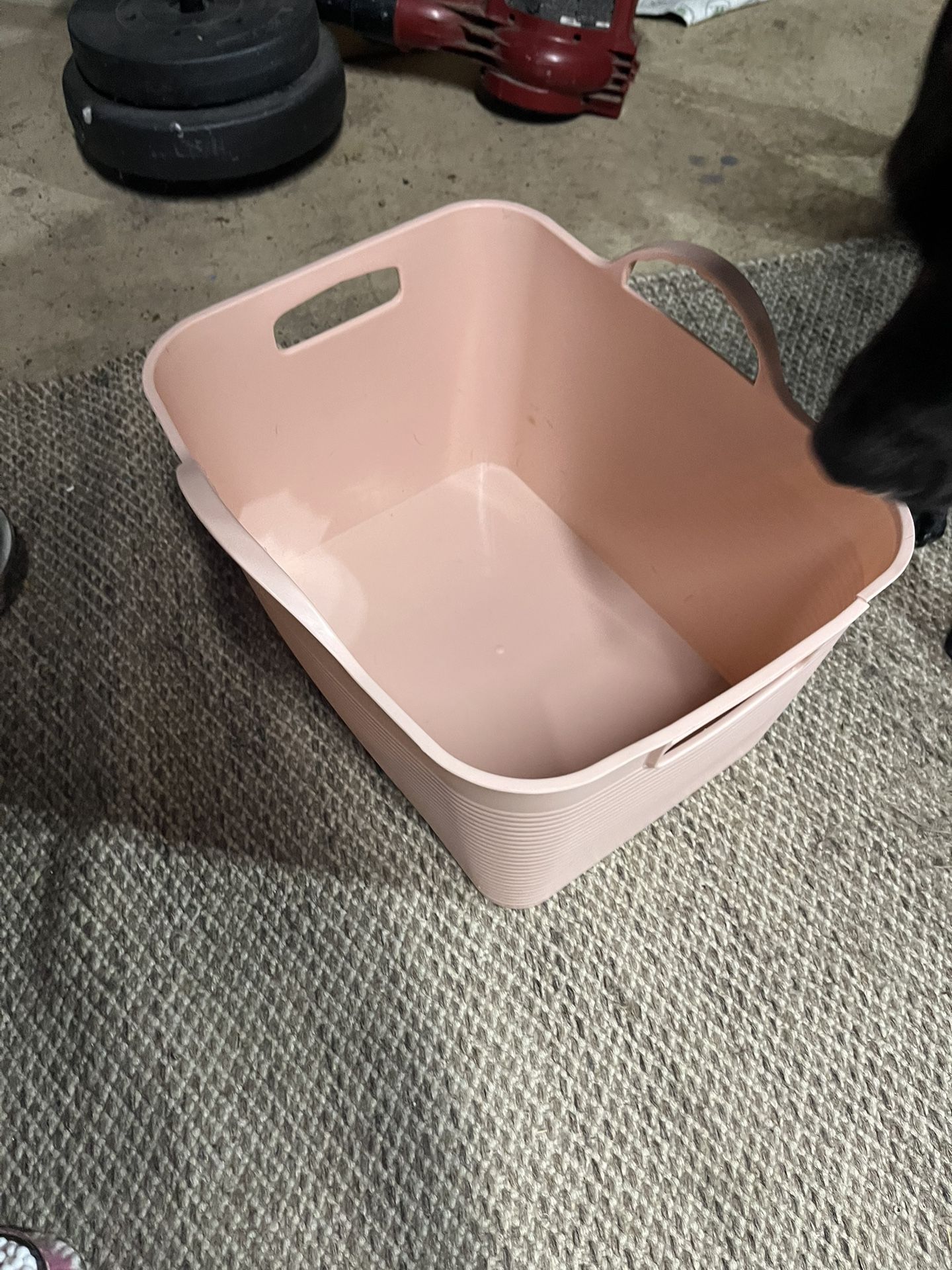 Pink Storage Container-dog Not Included