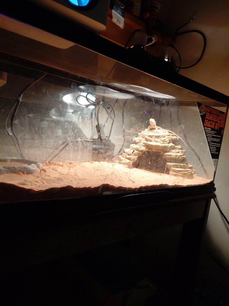 Reptile Tank