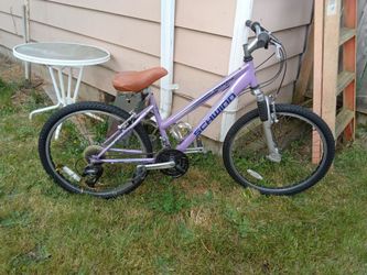 Schwinn bicycle - women's - purple
