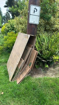 Free Boxes
