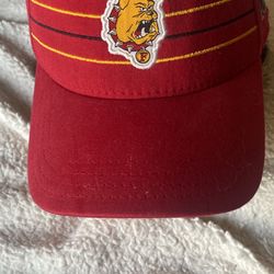 VTG Ferris St Univ Bulldogs Hockey 2014 McNaughton Cup WCHA Adj