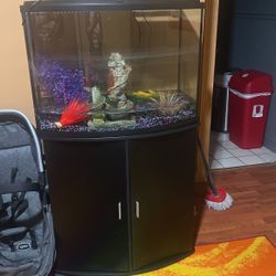 Fish Tank With Stand 