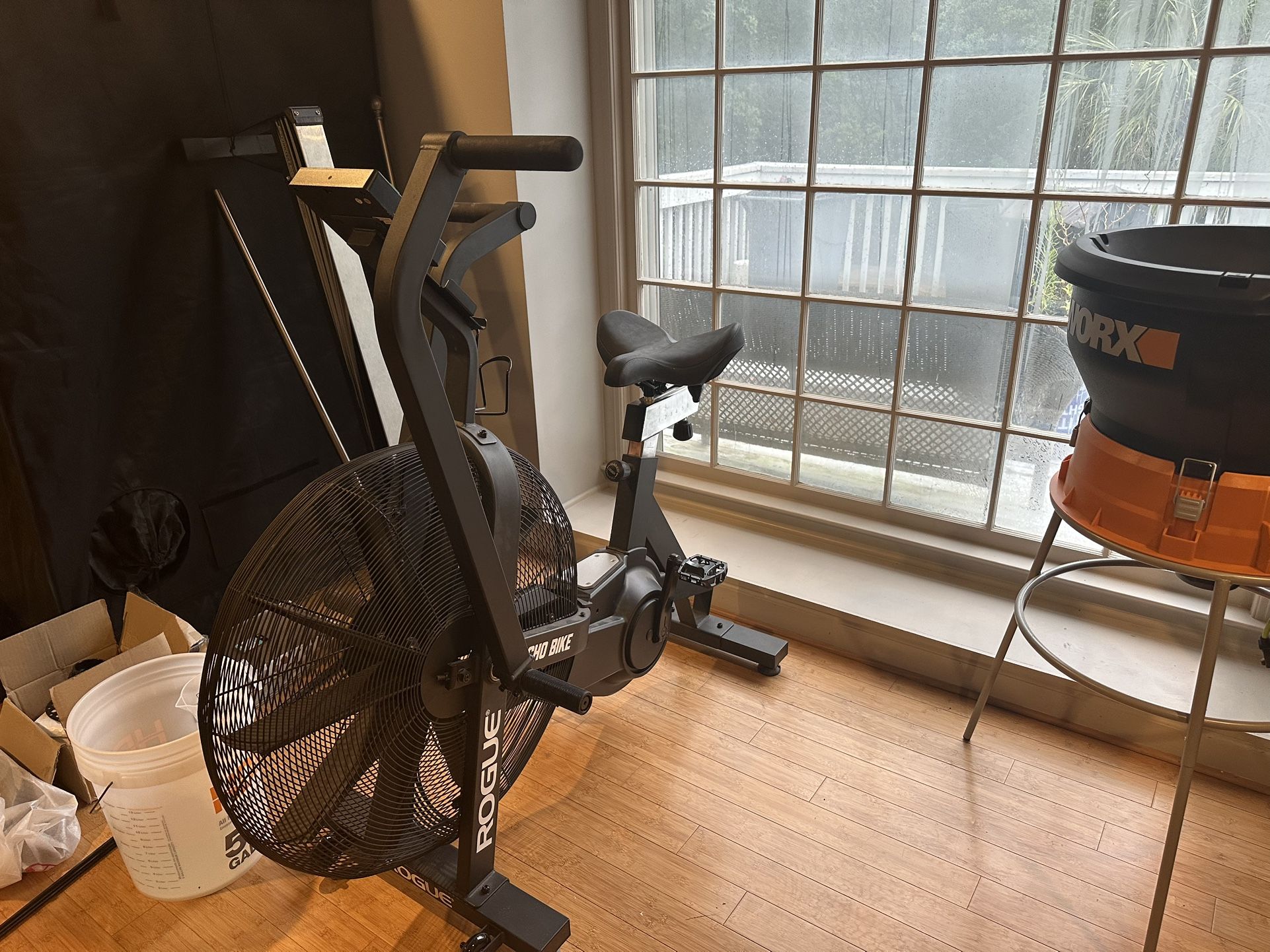 Rogue Echo Bike