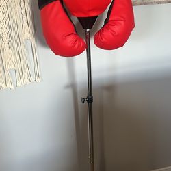 Punching Bag + Gloves