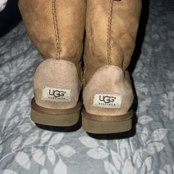 Uggs Boots
