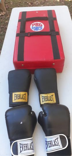 Kickboxing Shield and Gloves 