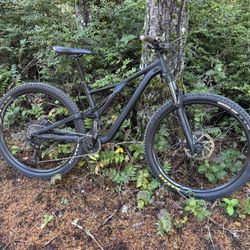 Specialized stumpjumper