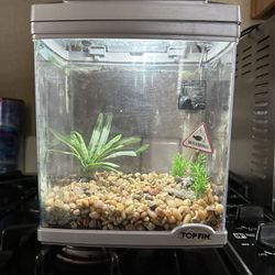 Fish Tank Aquarium 