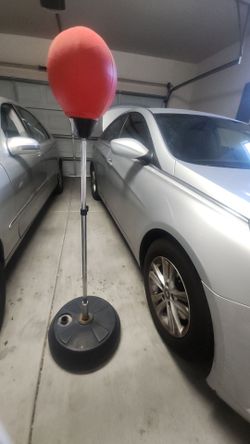 Speed bag