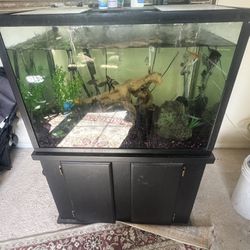 100 Gallon Square Fish Tank 