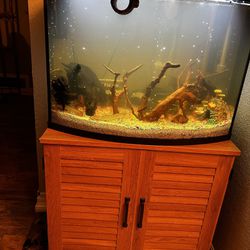 40 Gallon Complete Aquarium Setup 