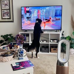 Moving Sale - Sony BRAVIA 65” 4K HDR Smart Google TV (KD-65X75K)