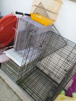 Diff size cages for sale 10 dollars each.