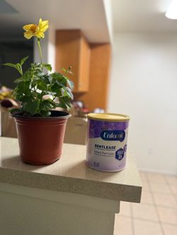 Baby formula
