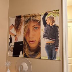 Vans Poster
