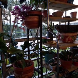 Plant Stand