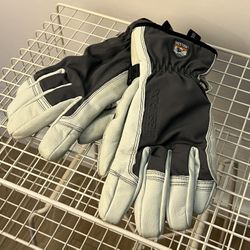 Hestra Army Leather Ski/Snowboard Gloves 