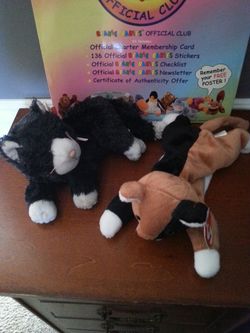 Black and white cat and a fox beanie babies