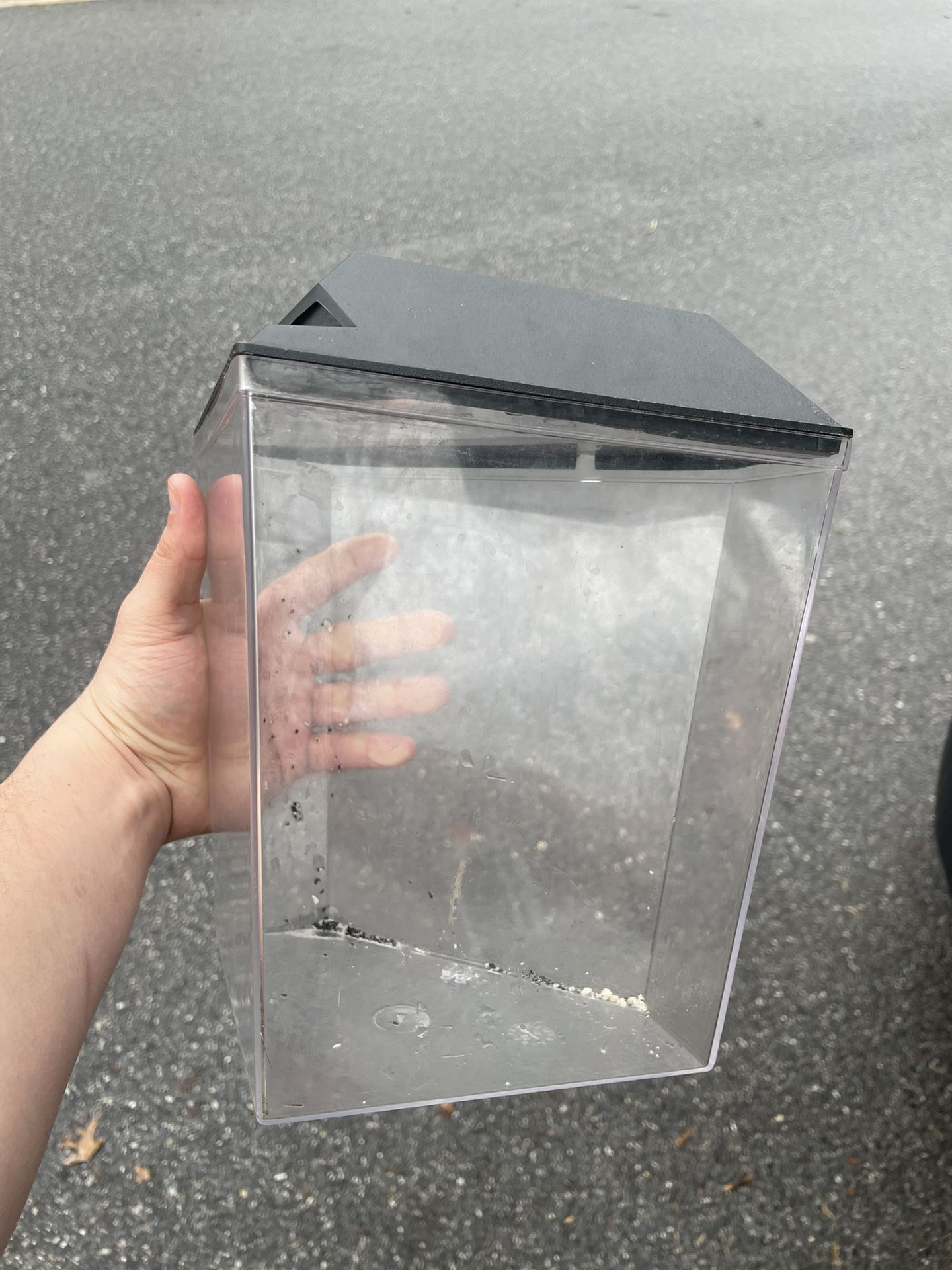 Fish Tank With A Whole Bunch Of Extras