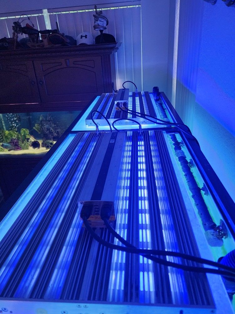 Aquarium Lights
