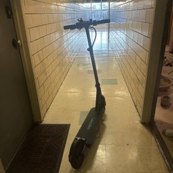 Electric Scooter 
