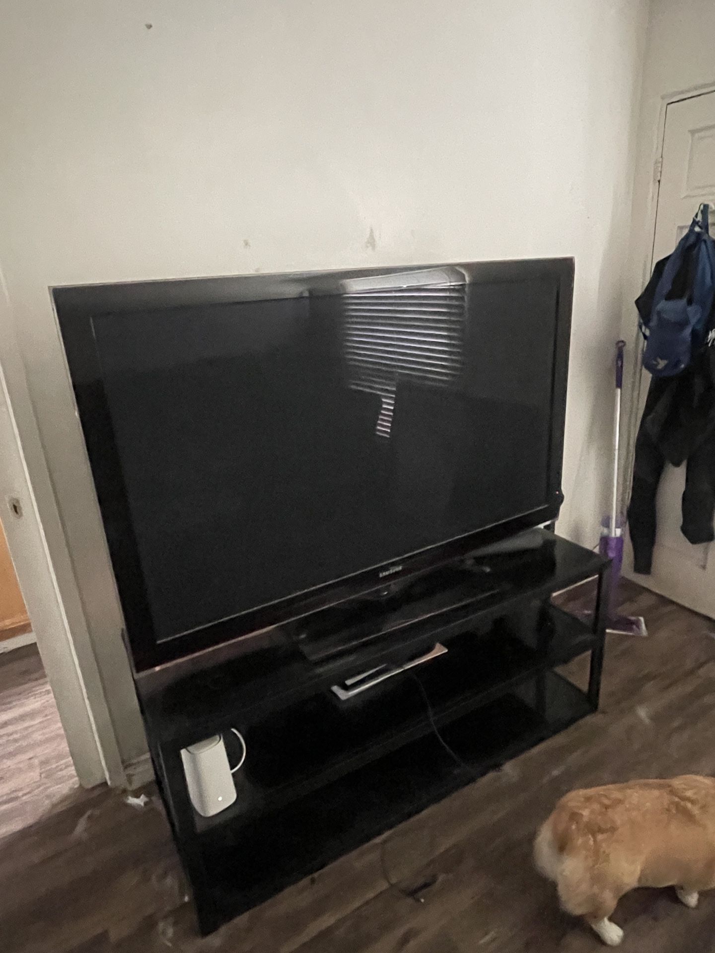 60 in Samsung plasma & Glass N Metal Stand