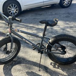 Mongoose Fat Tire Bike