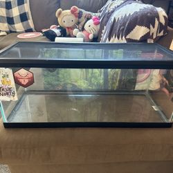 Reptile Tank