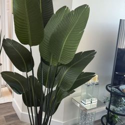 Pretty Artificial Plant 6 Ft Tall ! Brand New