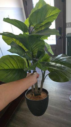 Artificial Plant in Pot