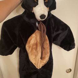 Dog Halloween Costume Size 2-3 Years