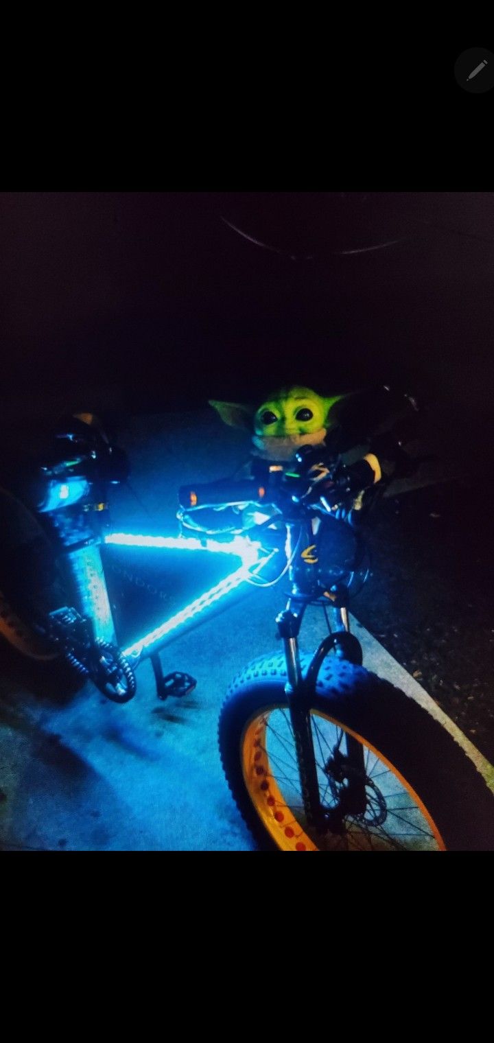Electric Bike