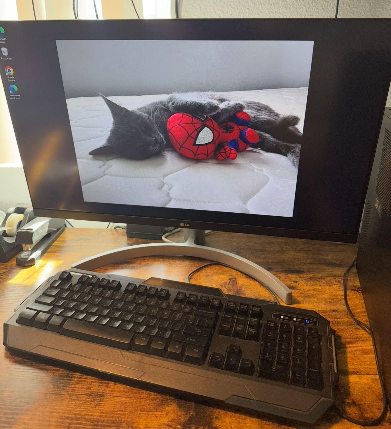 LG Desktop With HP PC