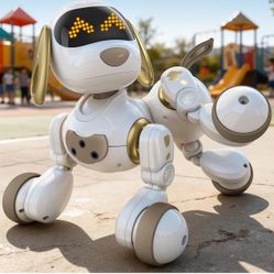 Ruko Remote Controlled Robot Dog