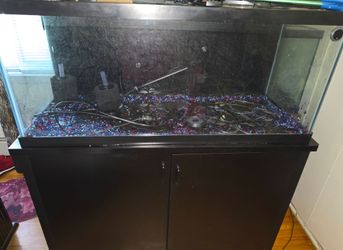 Aquarium