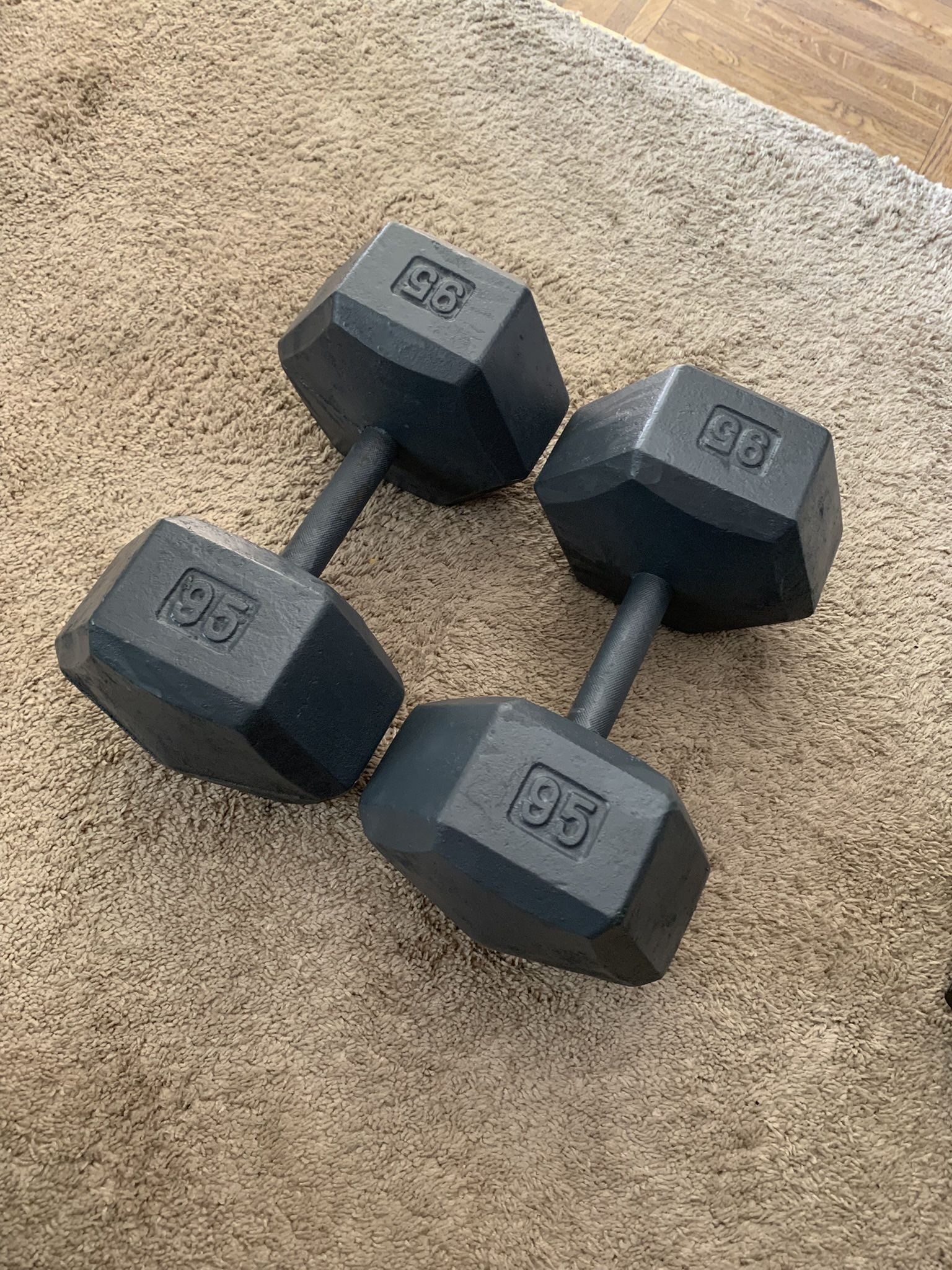 Dumbbells - Pair of 95s - Total 190 Pounds