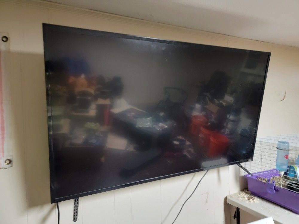 Vizio 55"