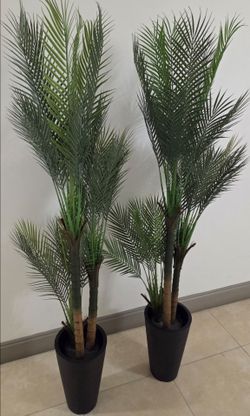 *** NEW LOW PRICE *** PAIR of 60" Faux Areca Palms in 15" (Tall) Brown Planters (2 for $120) @ Lasting Creations