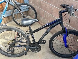 Schwinn 21-Speed Mountain Bike