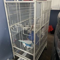 Bird cages 