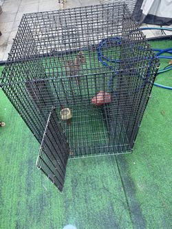 Cage/Enclosure