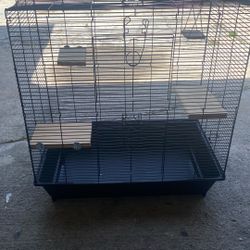 Bird Cage 