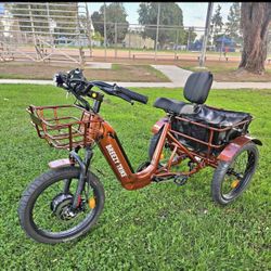 BREEZY Electric Trike 3 Wheel eBike TRIKE GT-48v 500 w Fat Tire Electric Tricycle