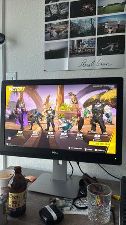 Dell 24 in Monitor