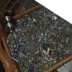 Wingnuts 12 For 1 Dollar 